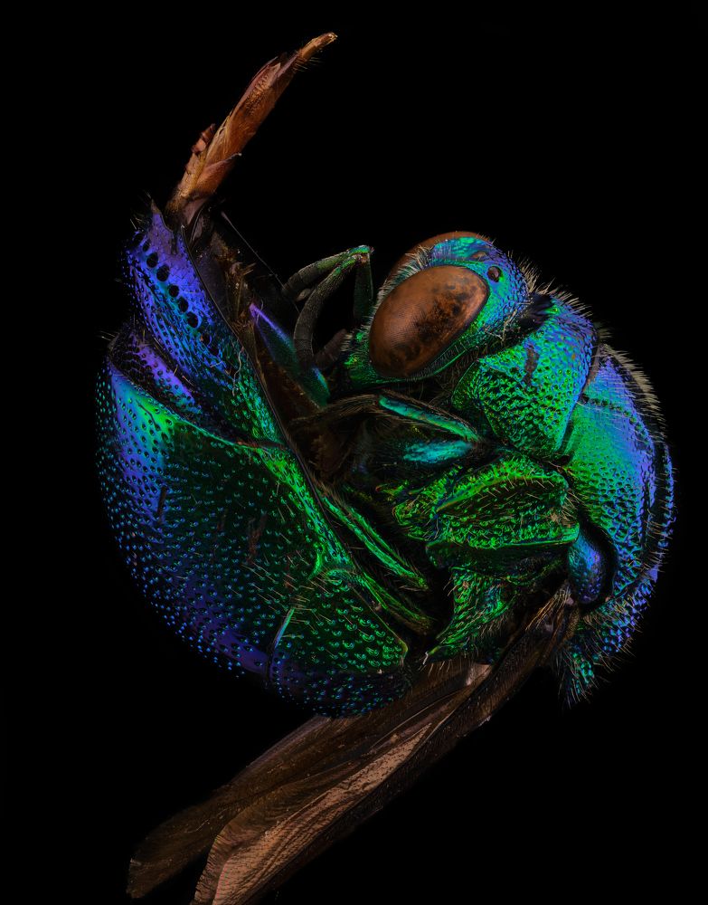 Photograph by sergio acevedo