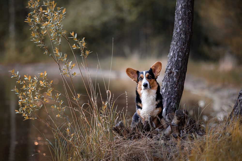 Photograph by Татьяна Тихомирова