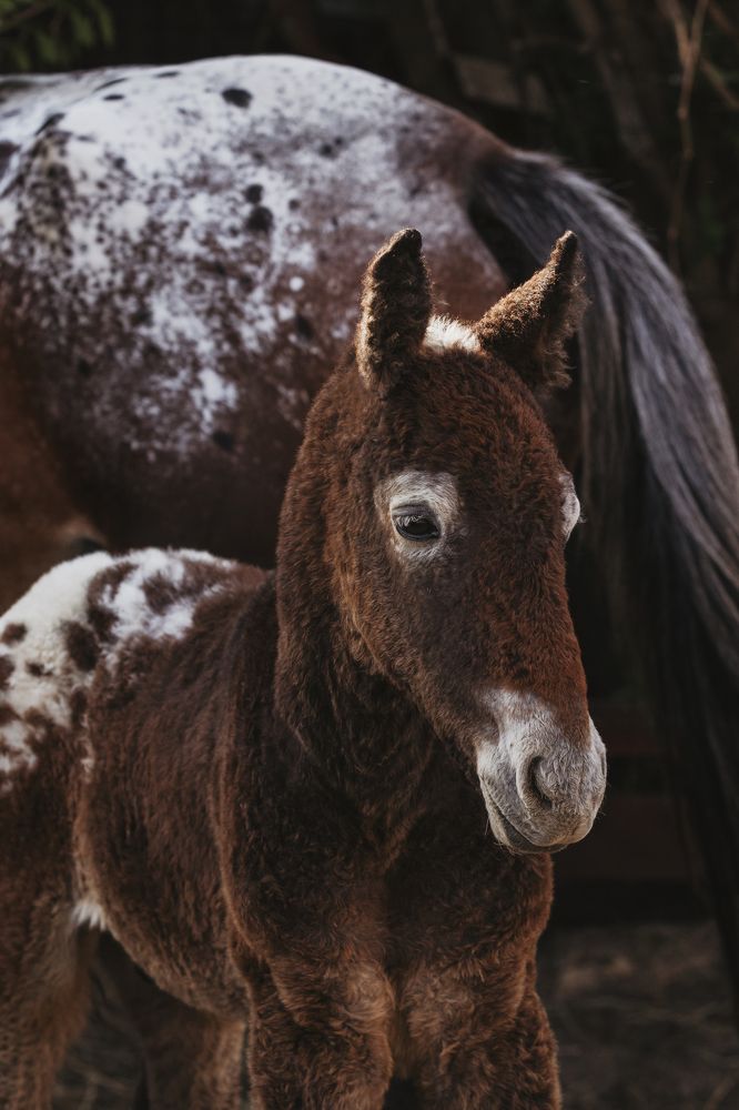 Photograph by Марина Кирпичникова