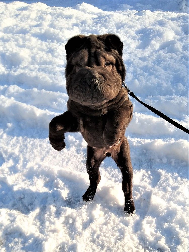 Photograph by Раиса Ламли