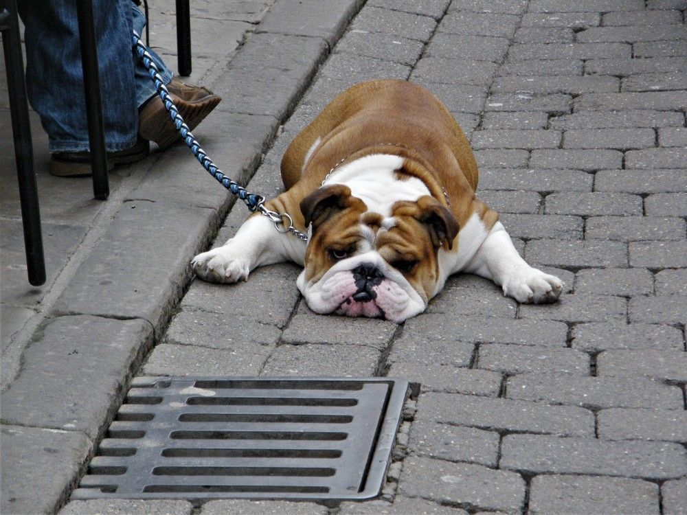 Photograph by Раиса Ламли