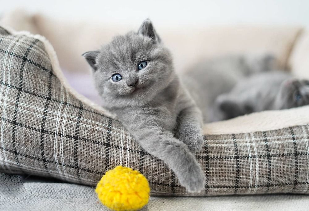 Photograph by Nelli Polle