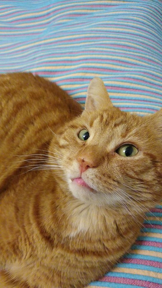 Photograph by Раиса Ламли