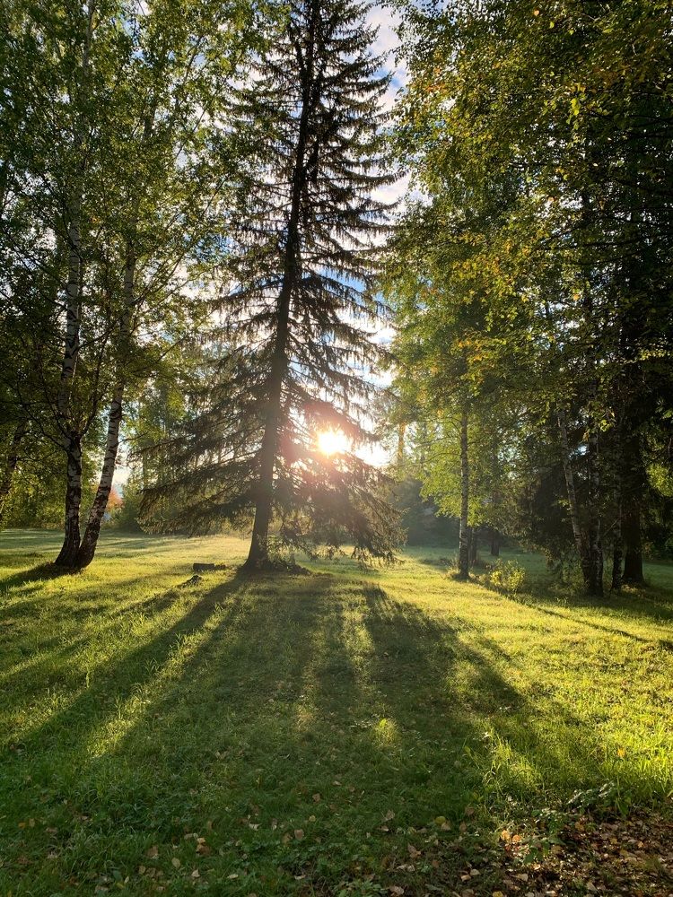 Photograph by Светлана Хохлова