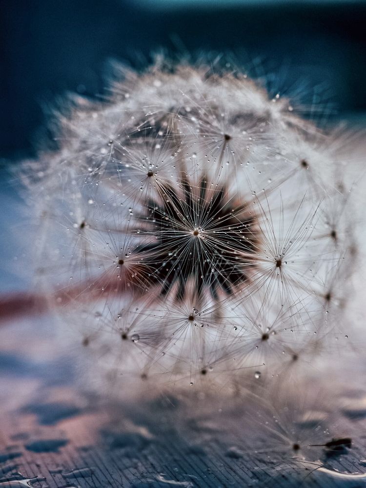 Photograph by Олеся Семенова