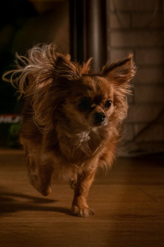 Photograph by Юлия Петухова