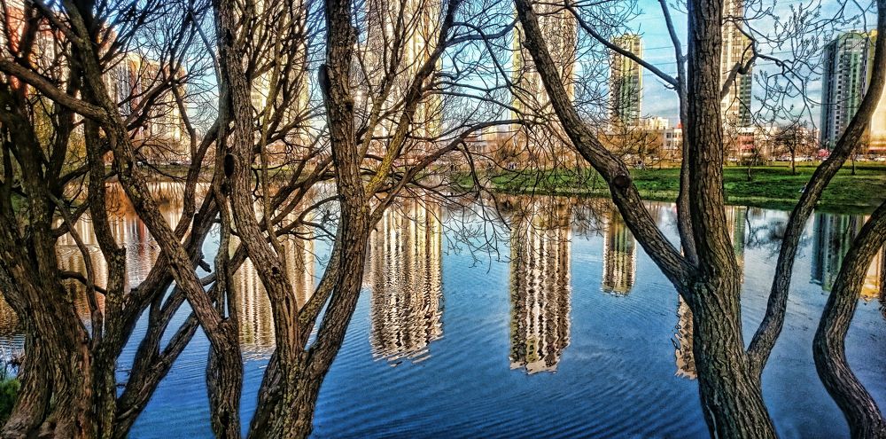 Photograph by Tatyana Semenova