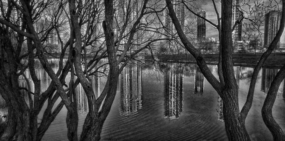 Photograph by Tatyana Semenova