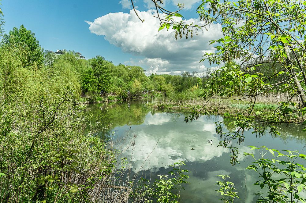 Photograph by Владимир Езеров