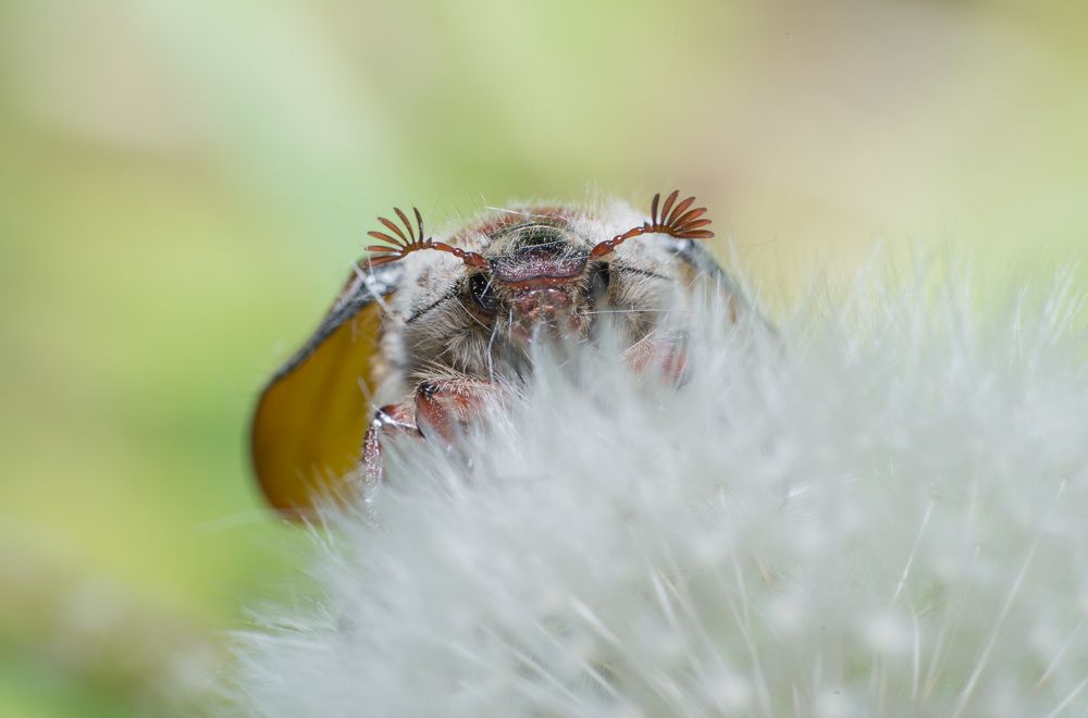 Photograph by Михаил