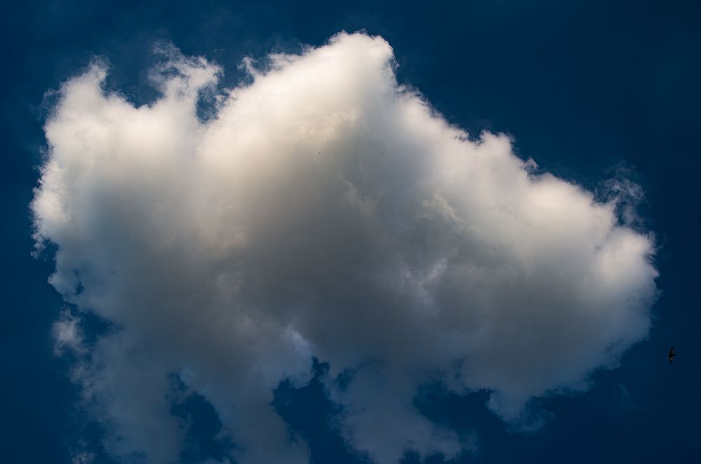 Photograph by Viktor Lazarev