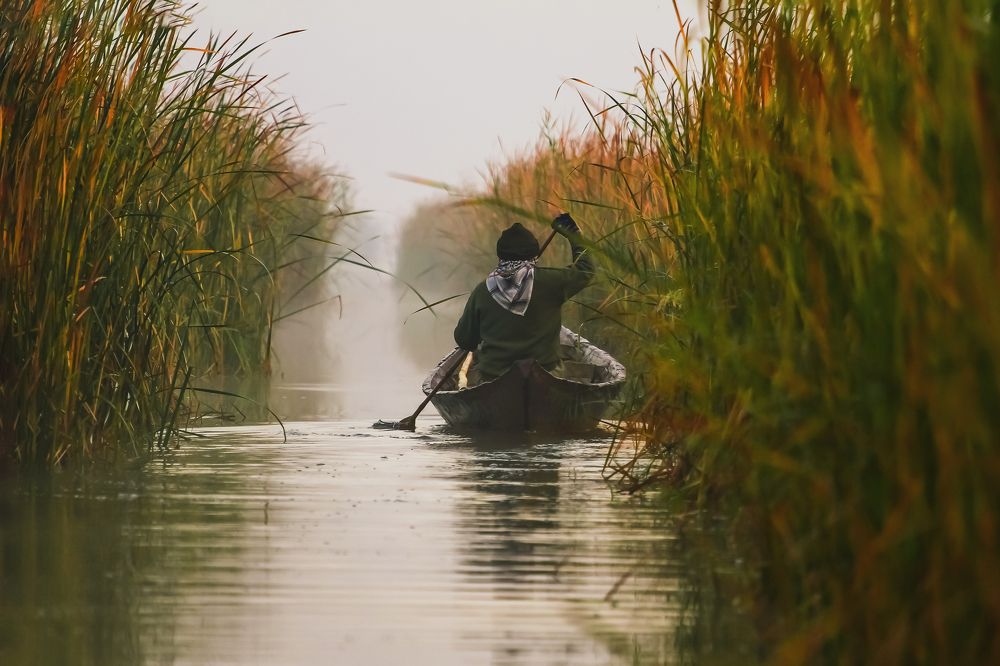 The road to the Garden of Eden