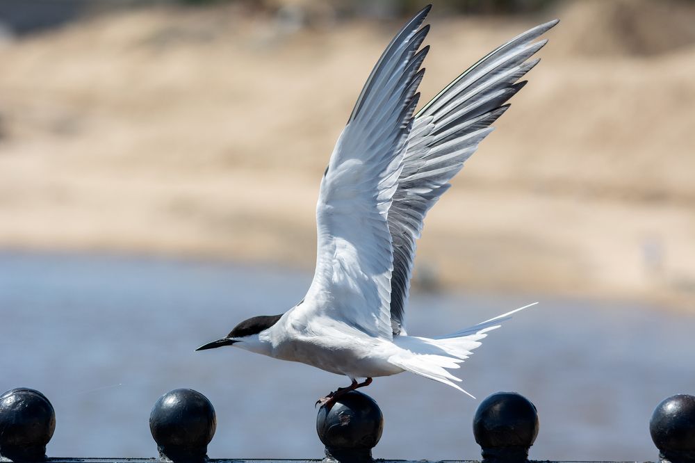 Photograph by Виктор Чернюк