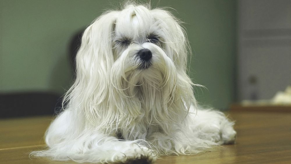 Photograph by юрий ященко