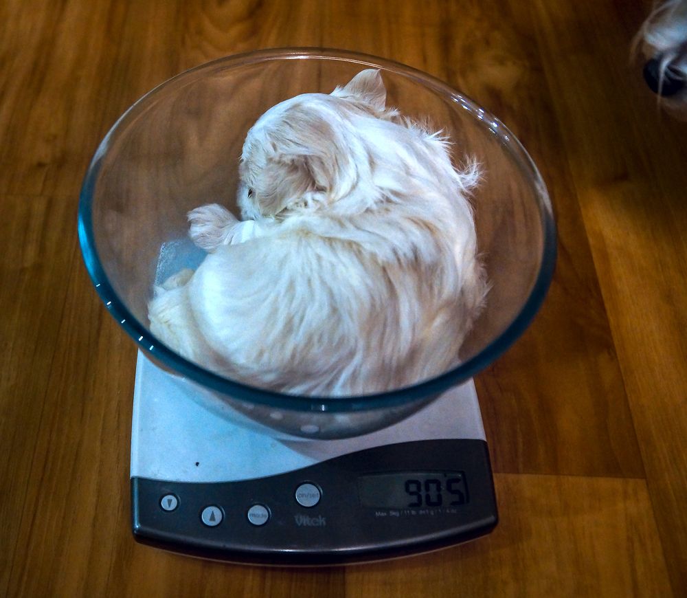 Photograph by юрий ященко