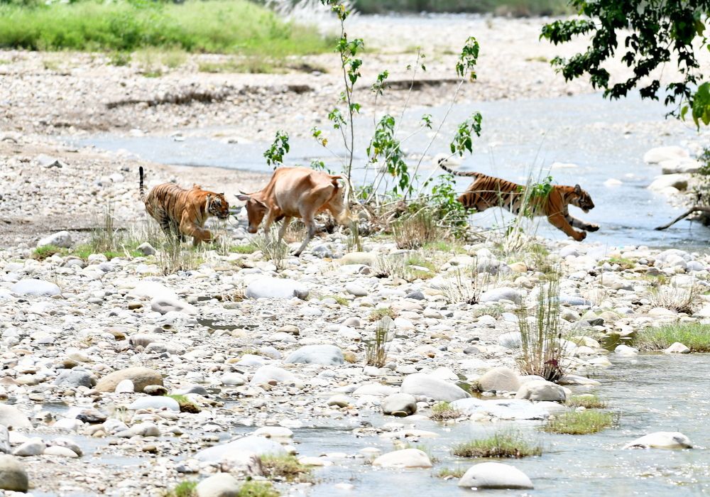 Photograph by Deep Rajwar