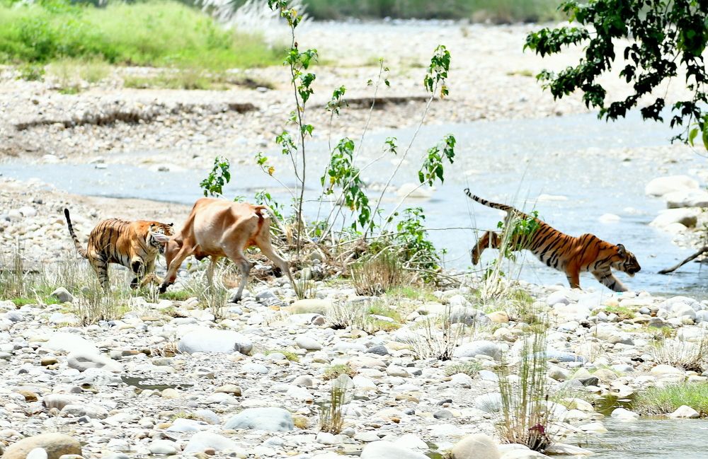 Photograph by Deep Rajwar