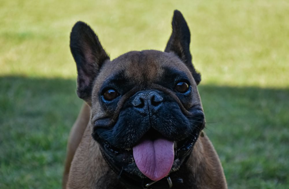 Photograph by Eduardo Vega