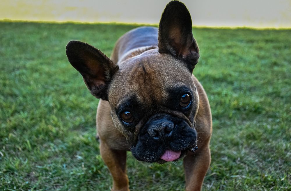 Photograph by Eduardo Vega