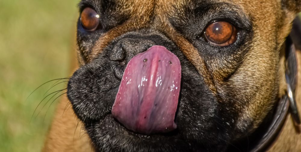 Photograph by Eduardo Vega