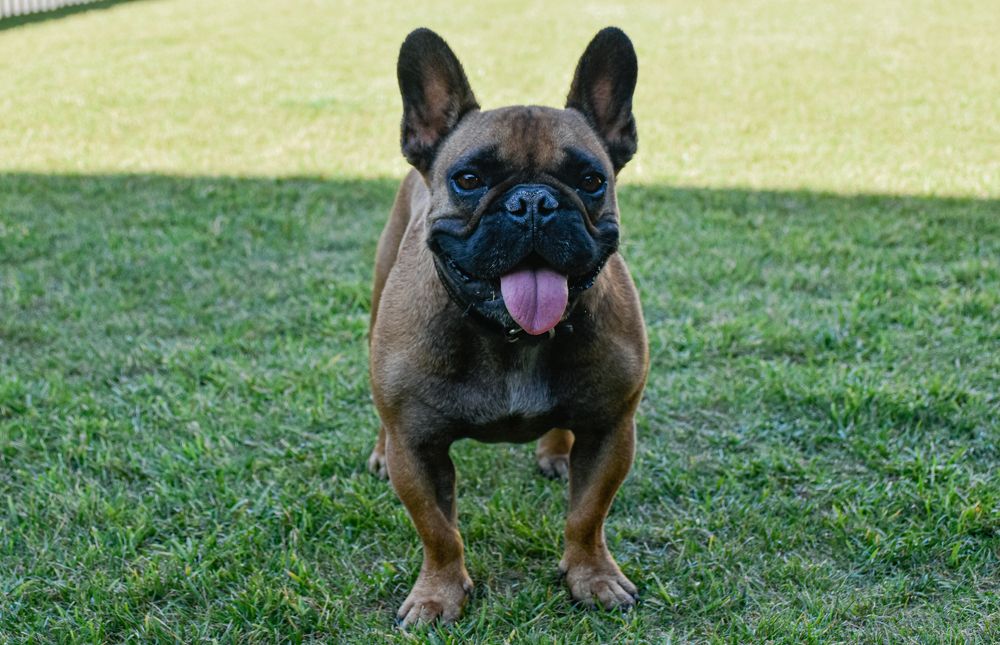 Photograph by Eduardo Vega