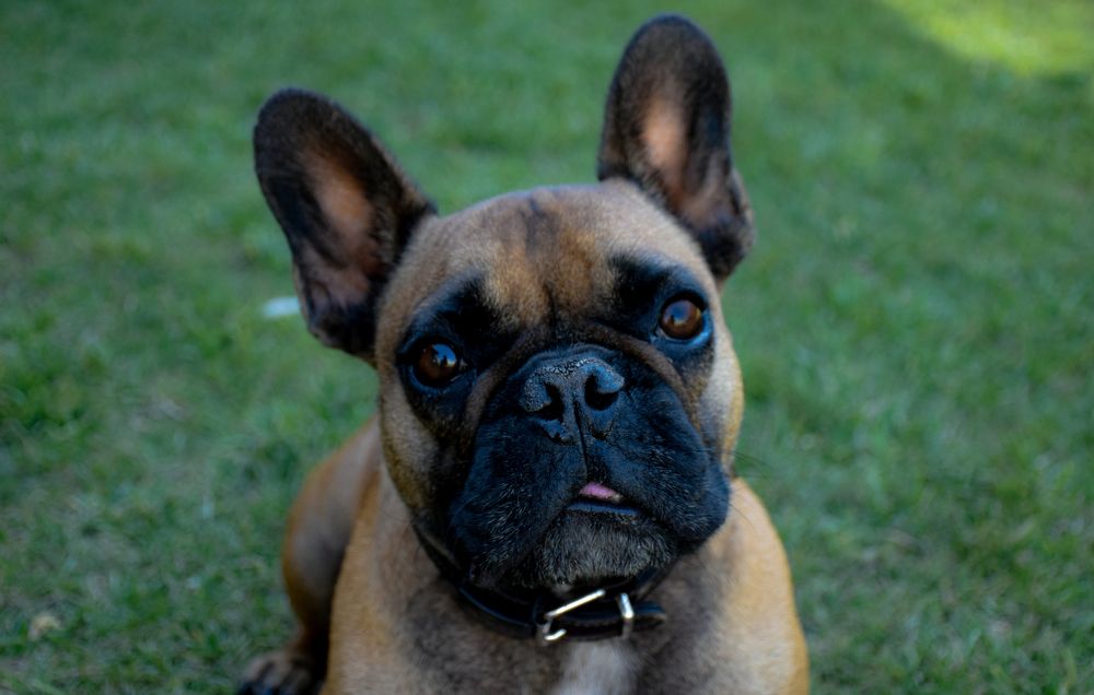 Photograph by Eduardo Vega