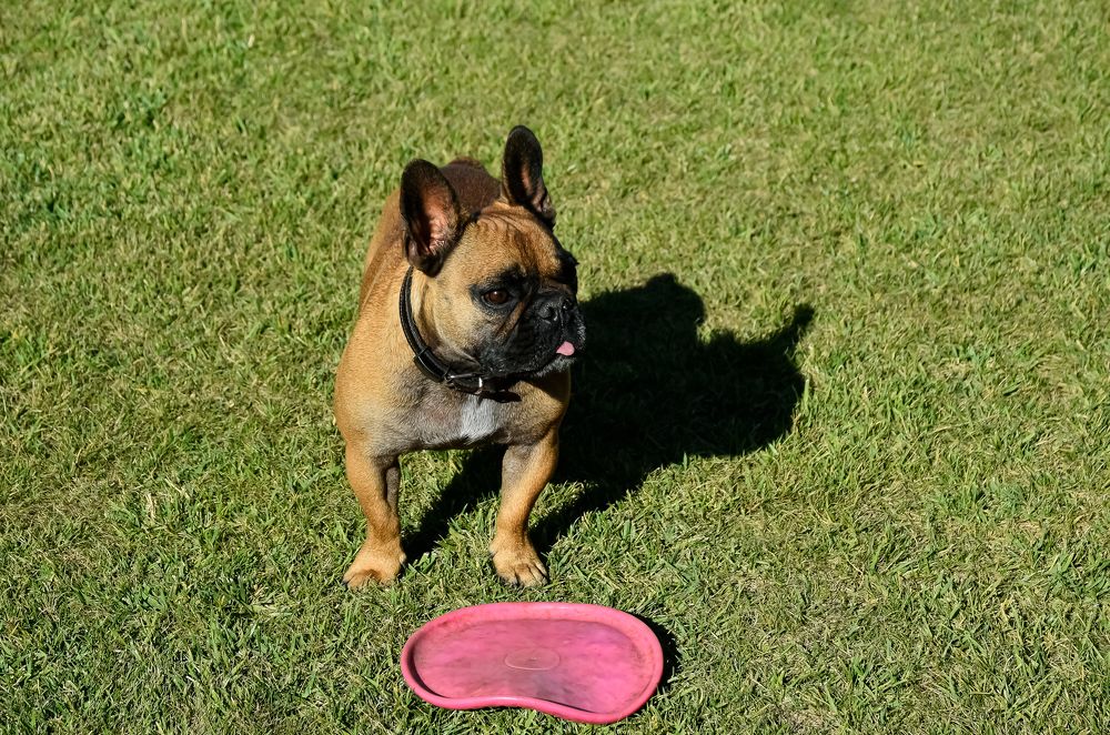 Photograph by Eduardo Vega