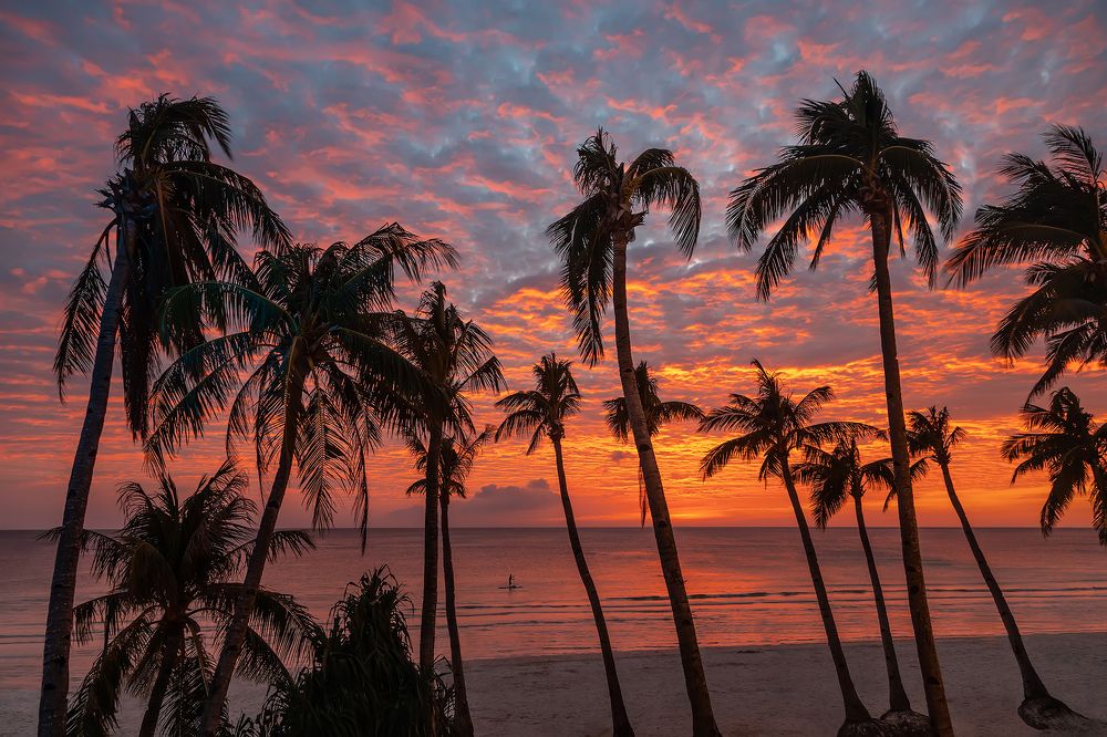 Photograph by Александр Ипполитов