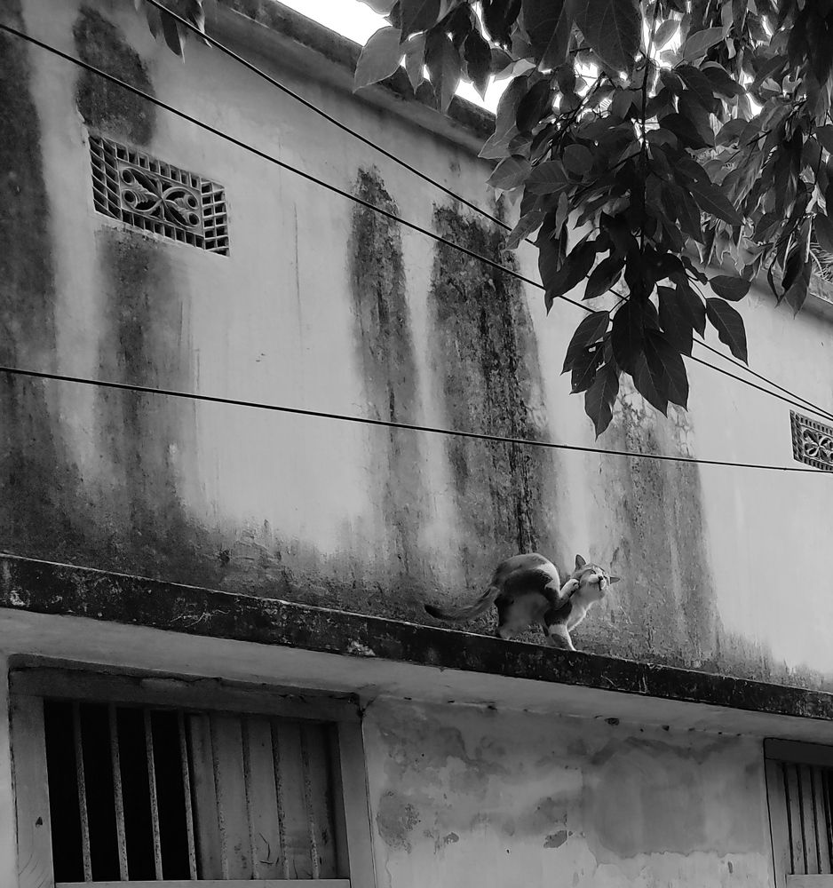 Photo #6136457