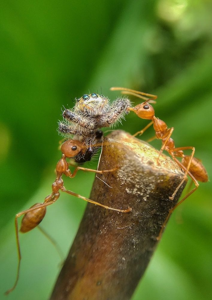 Photograph by Photography Debroto