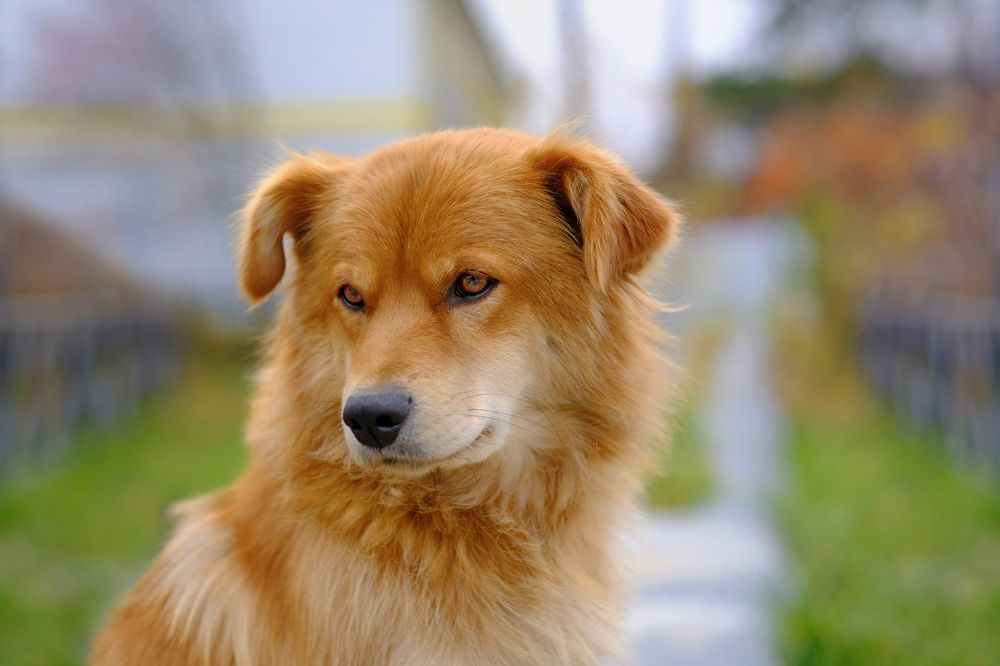 Photograph by Роман Грушевский