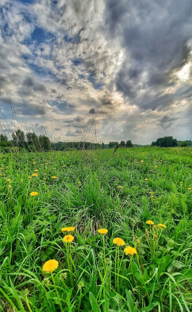 Photograph by Василий Фроленок