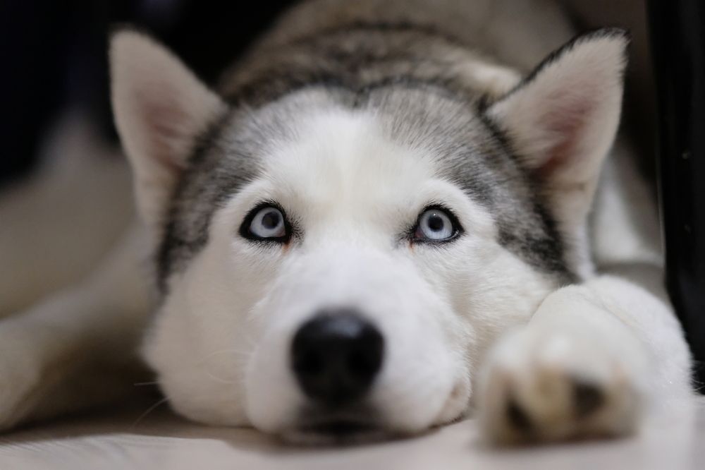 Photograph by Роман Грушевский