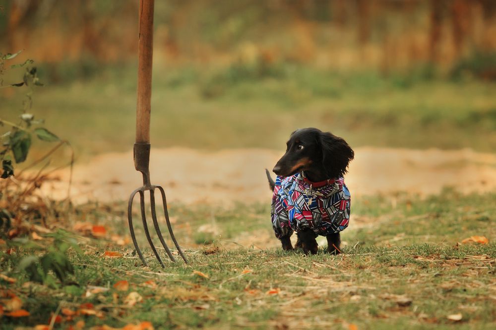 Photograph by Дарья Ералева