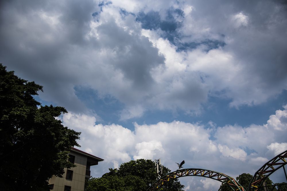 Photograph by 