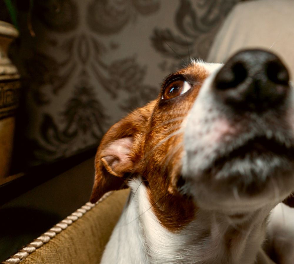 Photograph by юрий ященко