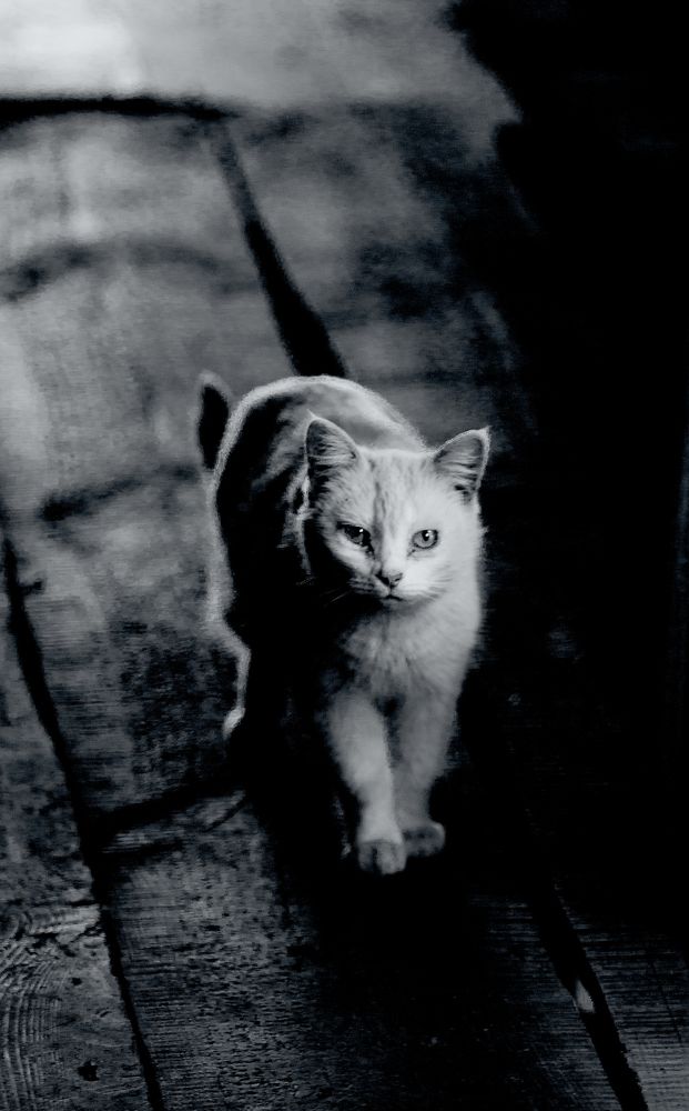 Photograph by юрий ященко