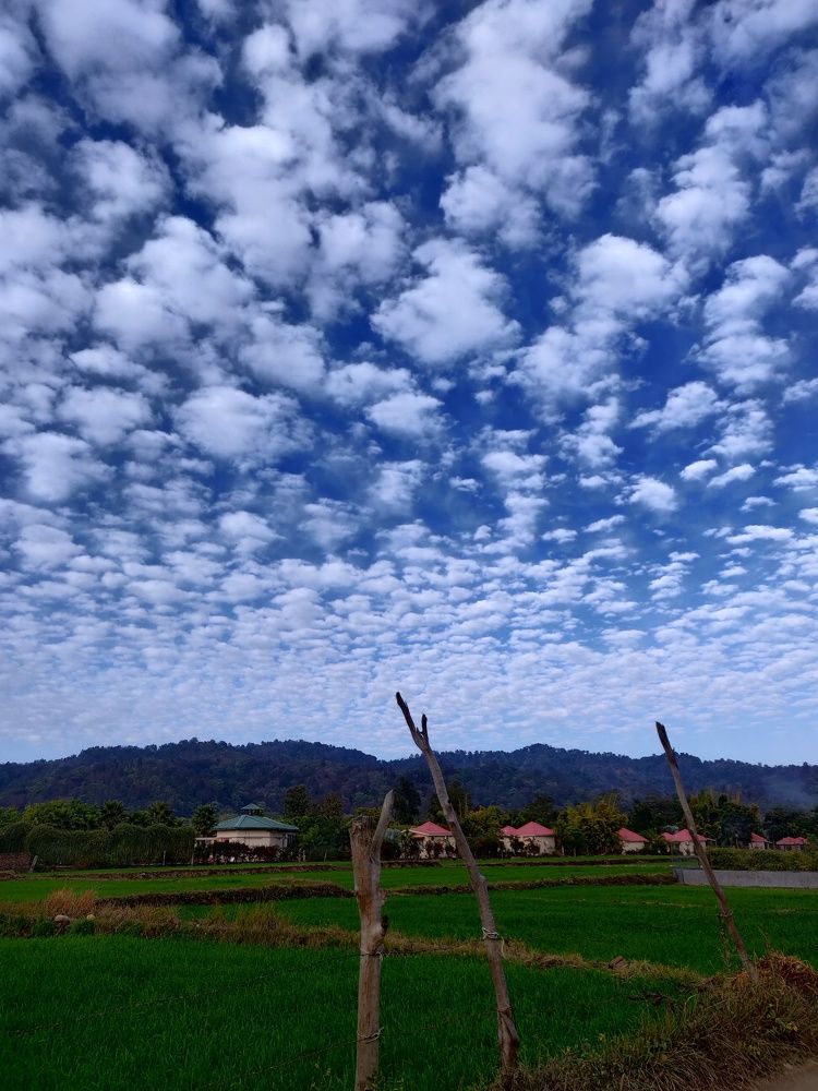 Photograph by Rashi Chakrayat