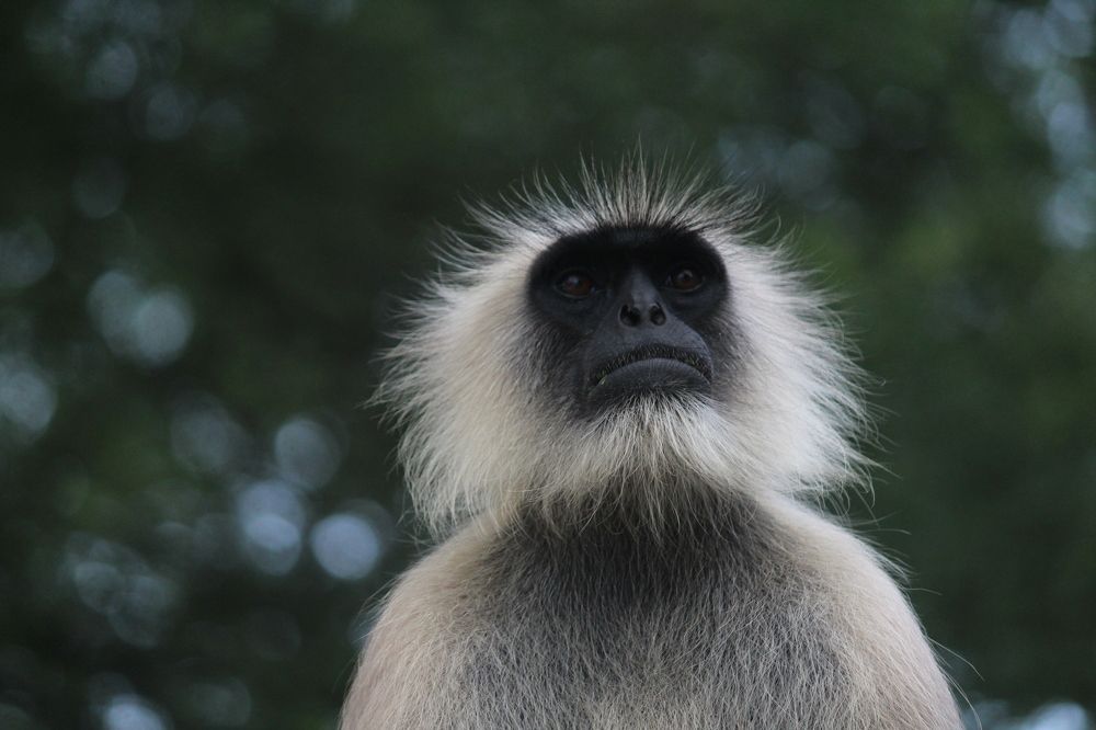 Photograph by Sharad vadoliya