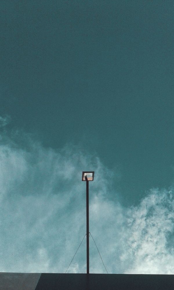 Photograph by Rain
