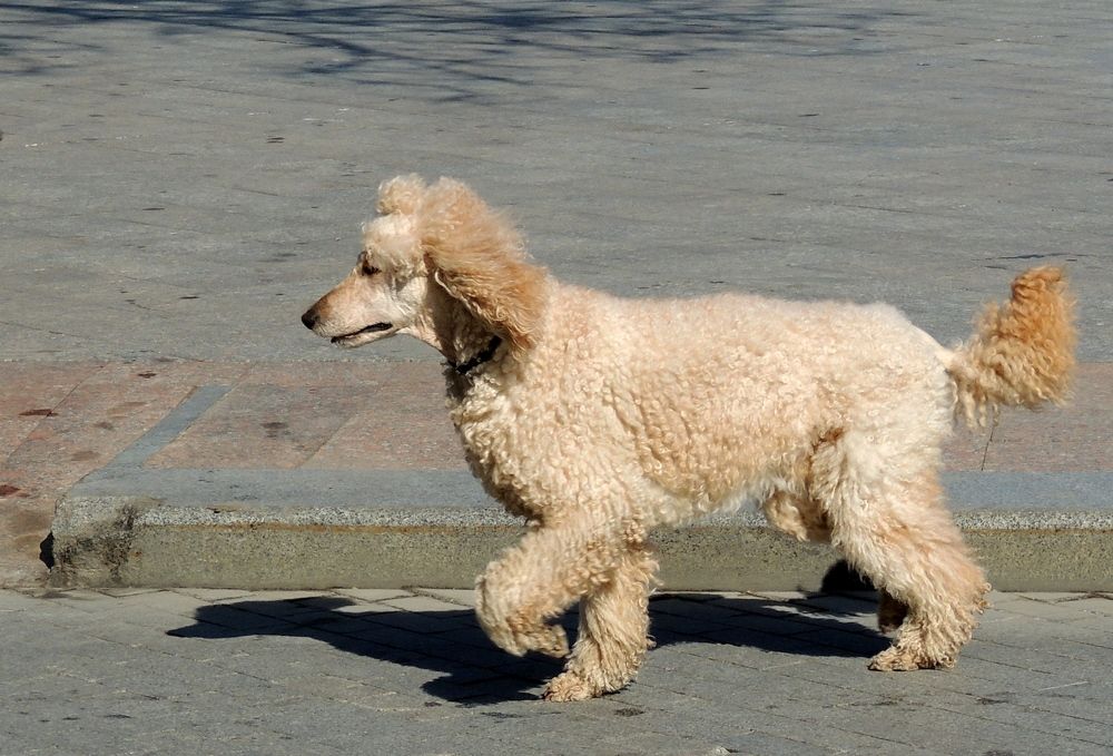 Photograph by Юрий Тихонов