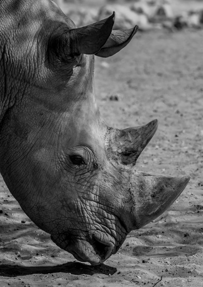 Photograph by Vignesh Ramachandran