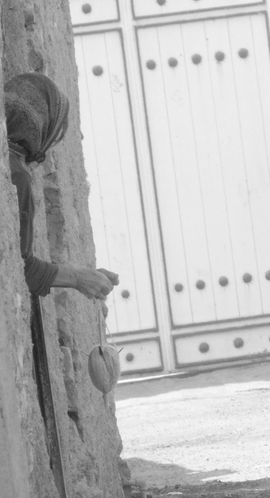Photo #6136705