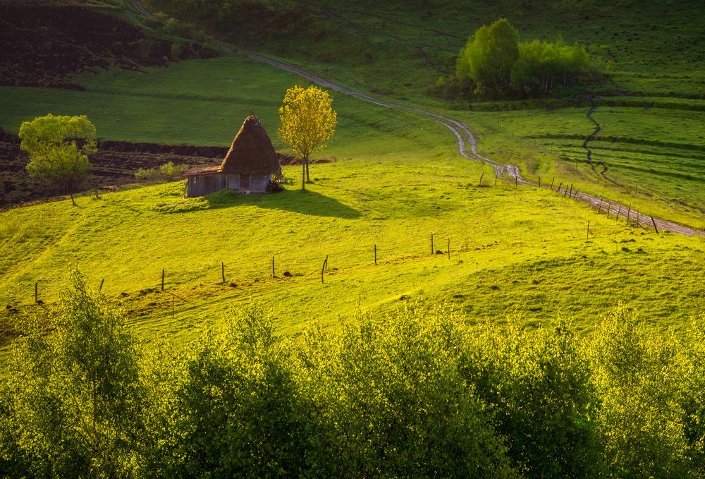 Photograph by Ana-Maria Tatarus