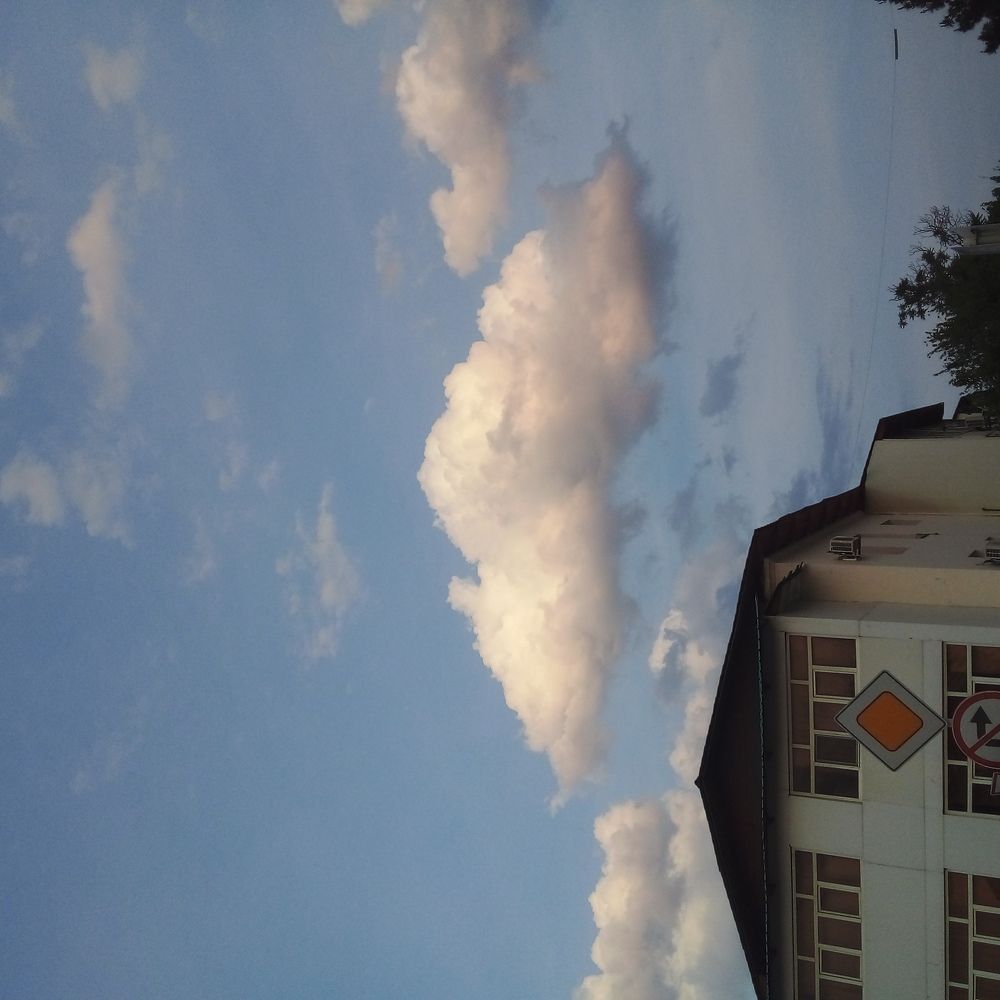 Photo #6136730