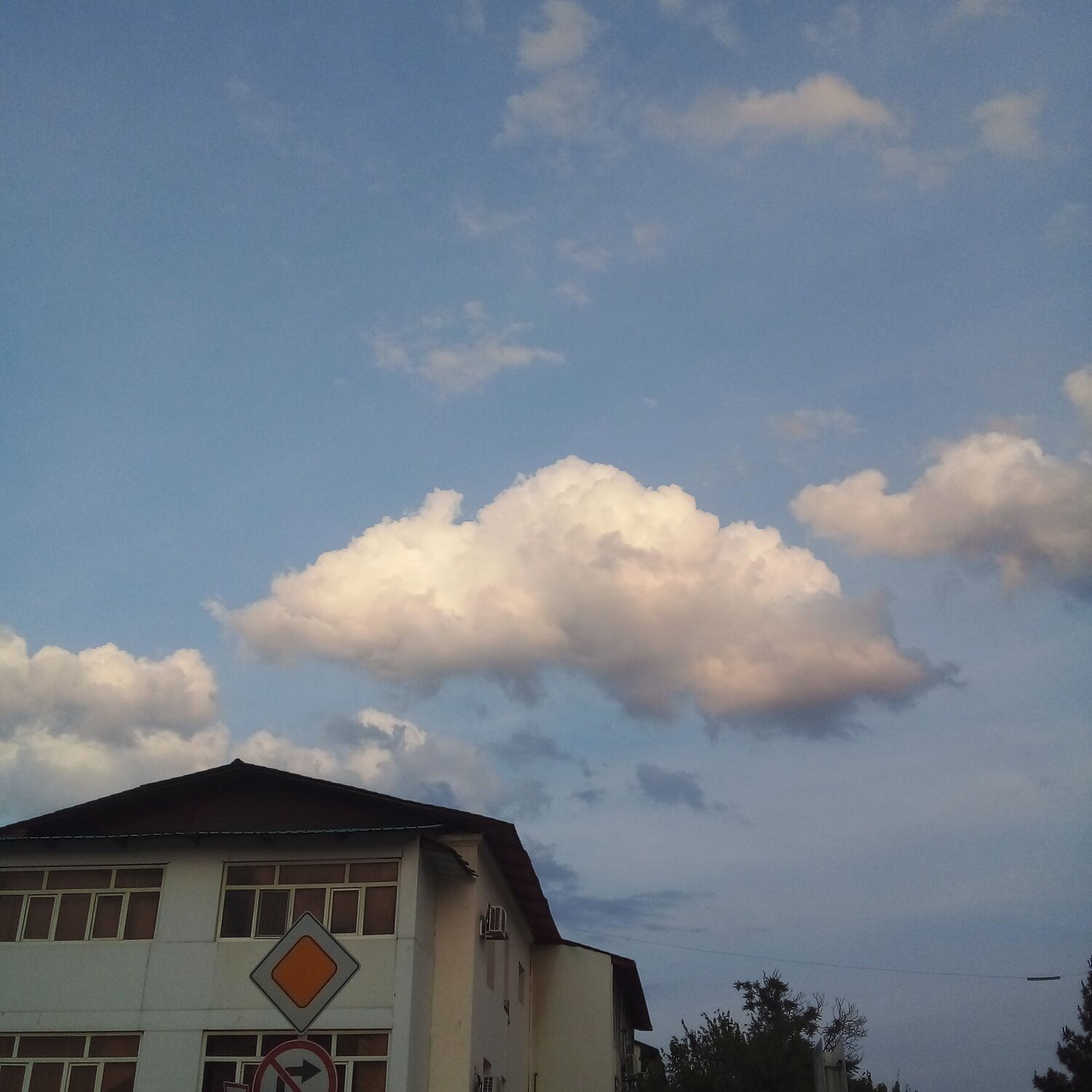 Photo #6136730