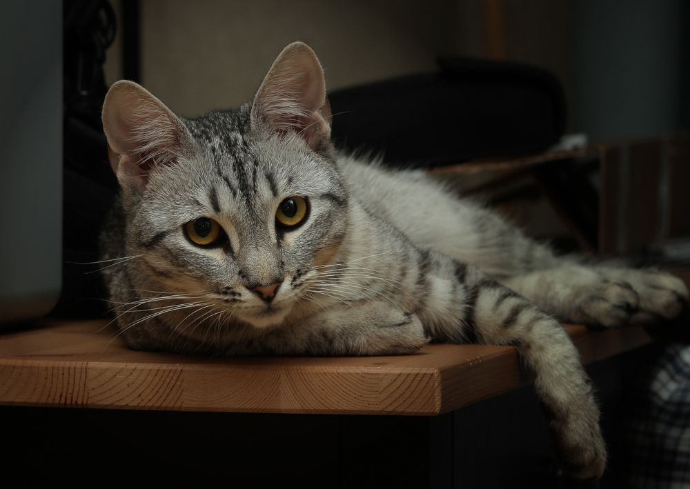 Фотография автора Геннадий Титов