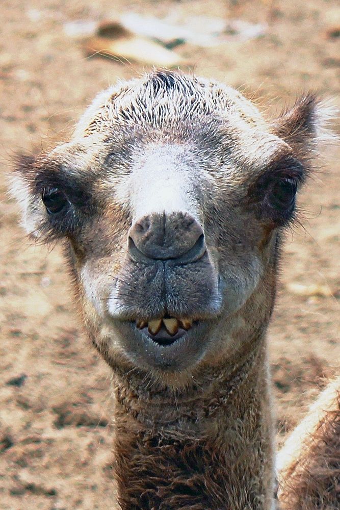 Photograph by Александр Бугаенко