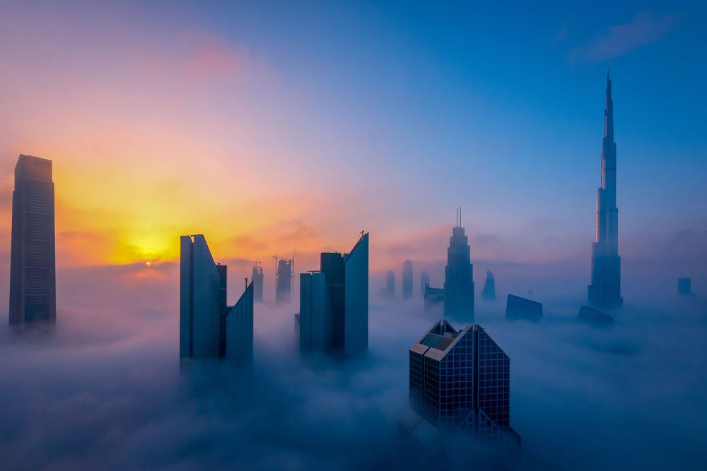 Photograph by Nishakanth Y