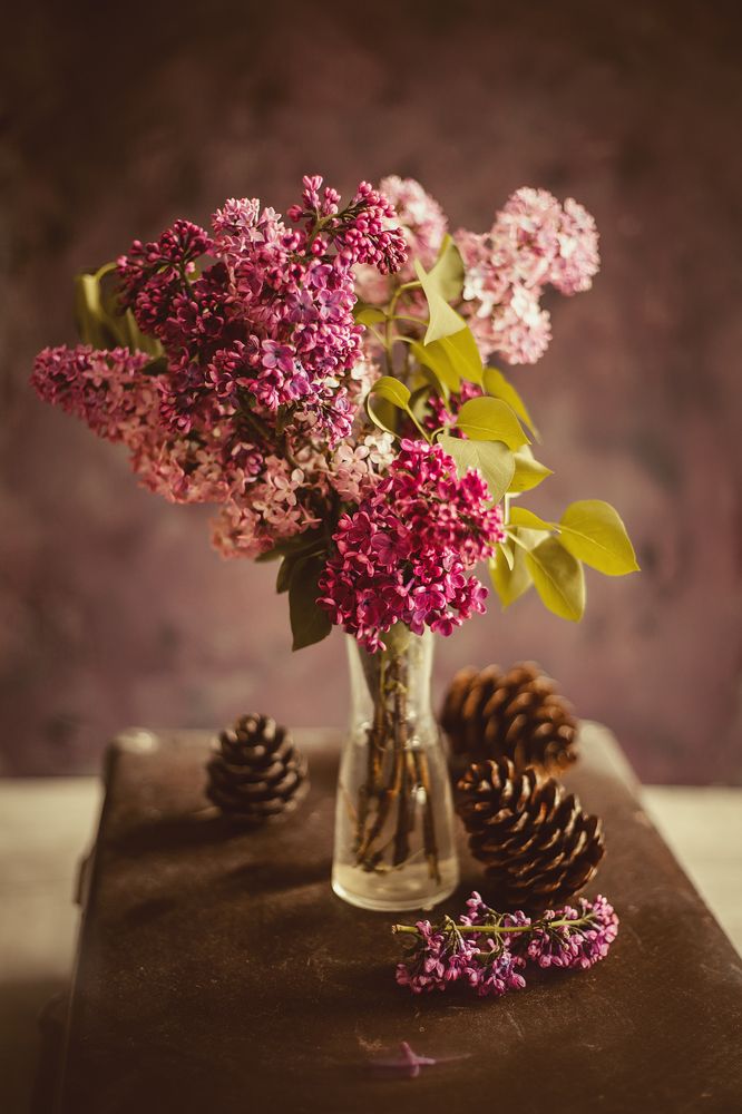 Photograph by Алена